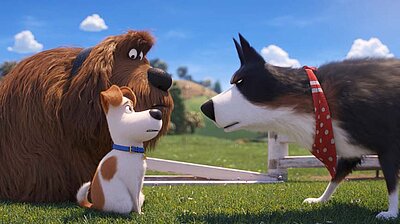 Mehr zum Film „Pets 2“ Szenenbild aus dem Film „Pets 2“